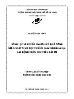 sàng lọc vi khuẩn bacillus có khả năng kiểm soát sinh học vi nấm colletotrichum sp gây bệnh thán thư trên cây ớt