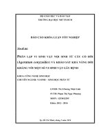 phân lập vi sinh vật nội sinh từ cây cỏ hôi ageratum conyzoides và khảo sát khả năng đối kháng với một số vi sinh vật gây bệnh