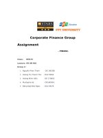 darden restaurant corporate finance group assignment