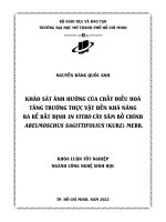 khảo sát ảnh hưởng của chất điều hoà tăng trưởng thực vật đến khả năng ra rễ bất định in vitro cây sâm bố chính abelmoschus sagittifolius kurz merr