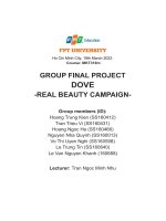 group final project dove real beauty campaign