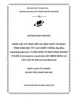 phân lập và tinh chế các hợp chất có hoạt tính sinh học từ cao chiết chủng bacillus amyloliquefaciens t3 nội sinh có khả năng kháng vi nấm corynespora cassiicola gây bệnh rụng lá cây cao su hevea brasiliensis