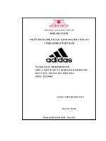 tiểu luận phân tích chiến lược kinh doanh công tytnhh adidas việt nam
