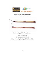 tiểu luận môn đàn bầu 5