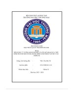 trình bày ý tưởng kinh doanh và lên kế hoạch cụ thể kinh doanh mặt hàng mang hình ảnh nhân vật hư cấu merch