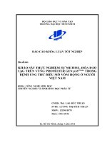 khảo sát thực nghiệm sự methyl hóa đảo cpg trên vùng promoter gen p16ink4α trong bệnh ung thư biểu mô vòm họng ở người việt nam