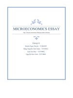 microeconomics essaytopic the price movements of robusta coffee in vietnam
