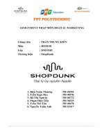 assignment nhập môn digital marketing thương hiệu shopdunk đại ký ủy quyền apple