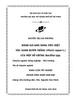 đánh giá khả năng tiêu diệt sâu xanh bướm trắng pieris rapae l của một số chủng bacillus spp