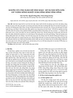 APPLICATION OF THE NOAH - MP MODEL TO FORECAST AGRICULTURAL METEOROLOGICAL CONDITIONS IN THE RED RIVER DELTA