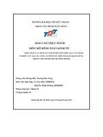 phân tích các nhân tố ảnh hưởng đến hiểu quả tài chính nghiên cứu tại các công ty niêm yết trên sở giao dịch chứng khoán thành phố hồ chí mình hose