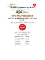 tiểu luận phân tích hoạt động kinh doanh của doanhnghiệpcông ty cổ phần kỹ nghệ thực phẩm việt nam