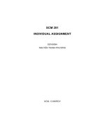 individual assignment