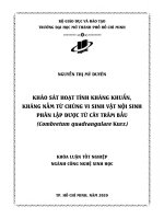 khảo sát hoạt tính kháng khuẩn kháng nấm từ chủng vi sinh vật nội sinh phân lập được từ cây trâm bầu combretum quadrangulare kurz
