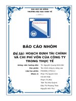 HOẠCH ĐỊNH TÀI CHÍNH VÀ CHI PHÍ VỐN CỦA CÔNG TY TRONG THỰC TẾ