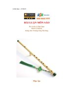 bài luận môn sáo