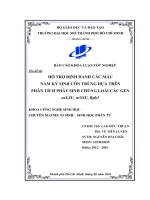 hỗ trợ định danh các mẫu nấm ký sinh côn trùng dựa trên phân tích phát sinh chủng loài các gen nrlsu nrssu rpb1