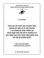 sàng lọc cây dược liệu có hoạt tính kháng oxy hóa và ức chế enzyme α glucosidase được trồng tại rừng ngập mặn cần giờ và nghiên cứu quy trình sản xuất nước uống đóng chai hỗ trợ hạ đường huyết