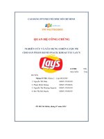 tiểu luận quan hệ công chúngnghiên cứu và xây dựng chiến lược prcho sản phẩm bánh snack khoai tây lays