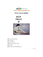 tiểu luận môn đàn tranh các nhạc cụ truyền thống việt nam