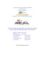 đề tài phân tích thực trạng dịch vụ giao nhận vận tải hàng hóa của công ty tnhh tiếp vận thực real logistics