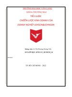 tiểu luận chiến lược kinh doanh của doanh nghiệp johsonjohnson