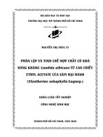 phân lập và tinh chế hợp chất có khả năng kháng candida albicans từ cao chiết ethyl acetate của sâm đại hành eleutherine subaphylla gagnep
