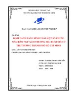 định danh bằng hình thái một số chủng nấm bào ngư xám thương mại được bán ở thị trường thành phố hồ chí minh
