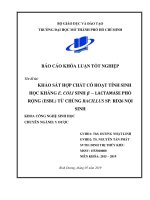 khảo sát hợp chất có hoạt tính sinh học kháng e coli sinh β lactamase phổ rộng esbl từ chủng bacillus sp rd26 nội sinh