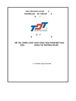 đề tài chiến lược xuất khẩu sản phẩm mật hoa dừa sang thị trường ấn độ