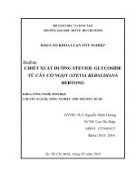 chiết xuất đường steviol glycoside từ cây cỏ ngọt stevia rebaudiana bertini