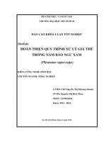hoàn thiện quy trình xử lý giá thể trồng nấm bào ngư xám pleurotus sajor caju