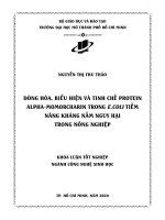 dòng hóa biểu hiện và tinh chế protein alpha momorcharin trong e coli tiềm năng kháng nấm nguy hại trong nông nghiệp