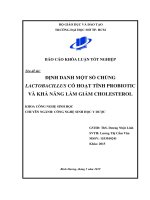 định danh một số chủng lactobacillus có hoạt tính probiotic và khả năng làm giảm cholesterol