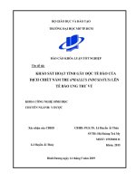 khảo sát hoạt tính gây độc tế bào của dịch chiết nấm tre phallus indusiatus lên tế bào ung thư vú