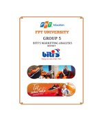 bitis marketing analysis report