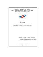 essay career in international business