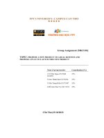 topic propose a new product to a real business and propose a plan to launch this new product