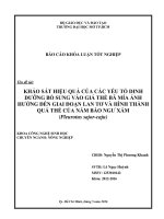 khảo sát hiệu quả của các yếu tố dinh dưỡng bổ sung vào giá thể bã mía ảnh hưởng đến giai đoạn lan tơ và hình thành quả thể của nấm bào ngư xám pleurotus sajor caju