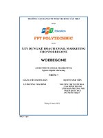 tiểu luận xây dựng kế hoạch email marketingcho woebegone