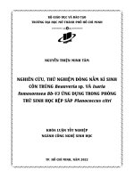nghiên cứu thử nghiệm dòng nấm kí sinh côn trùng beauveria sp và isaria fumosorosea bb v3 ứng dụng trong phòng trừ sinh học rệp sáp planococcus citri