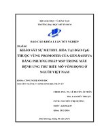 khảo sát sự methyl hóa tại đảo cpg thuộc vùng promoter của gen rassf1a bằng phương pháp msp trong mẫu bệnh ung thư biểu mô vòm họng ở người việt nam