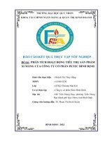 phân tích hoạt động tiêu thụ sản phẩm xi măng của công ty cổ phần petec bình định