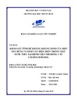 khảo sát tính đề kháng kháng sinh của một số chủng vi sinh vật hiện diện trong mẫu nước tiểu tại bệnh viện nhi đồng từ 1102015 30042016