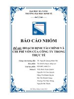 Đề tài HOẠCH ĐỊNH TÀI CHÍNH VÀ CHI PHÍ VỐN CỦA CÔNG TY TRONG THỰC TẾ