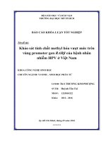 khảo sát tính chất methyl hóa vượt mức trên vùng promoter gen rarβ của bệnh nhân nhiễm hpv ở việt nam
