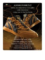 tiểu luận quá trình marketing của sản phẩm bitis hunter