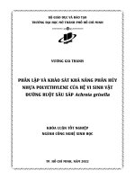 phân lập và khảo sát khả năng phân hủy nhựa polyethylene của hệ vi sinh vật đường ruột sâu sáp achroia grisella