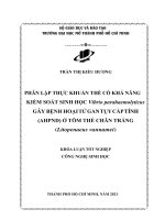 phân lập thực khuẩn thể có khả năng kiểm soát sinh học vibrio parahaemolyticus gây bệnh hoại tử gan tụy cấp tính ahpnd ở tôm thẻ chân trắng litopenaeus vannamei