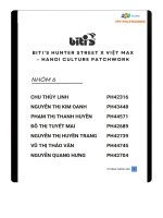 tiểu luận tiểu luận công ty tnhh sản xuất hàng tiêu dùng bình tiên